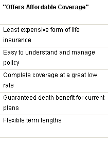 Term Life Insurance